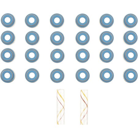 Reinz Engine Valve Stem Oil Seal Set, 12-10695-03 12-10695-03